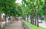 [ẢNH] Lạc lối giữa những con đường lãng mạn như phim trường